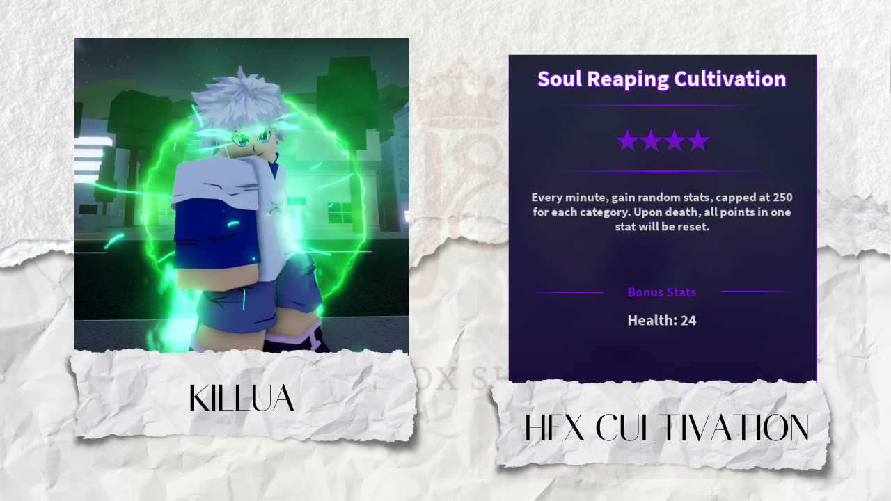 Hex Cultivation Killua